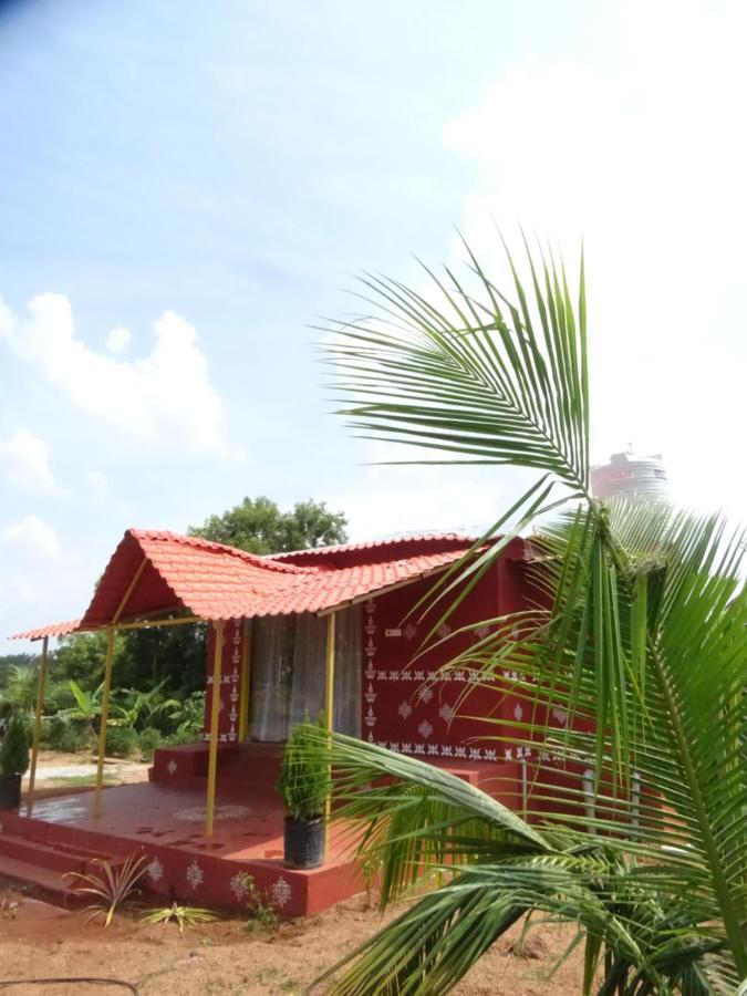 Mangohut Farmhouse Pool Villa Hyderabad Eksteriør billede