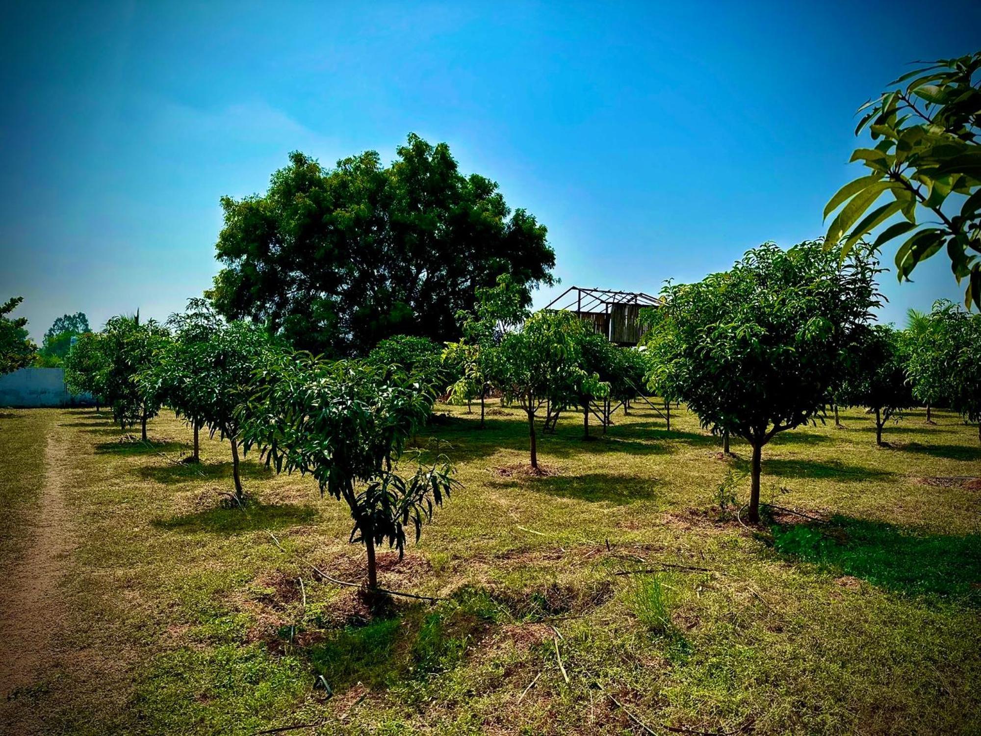 Mangohut Farmhouse Pool Villa Hyderabad Eksteriør billede